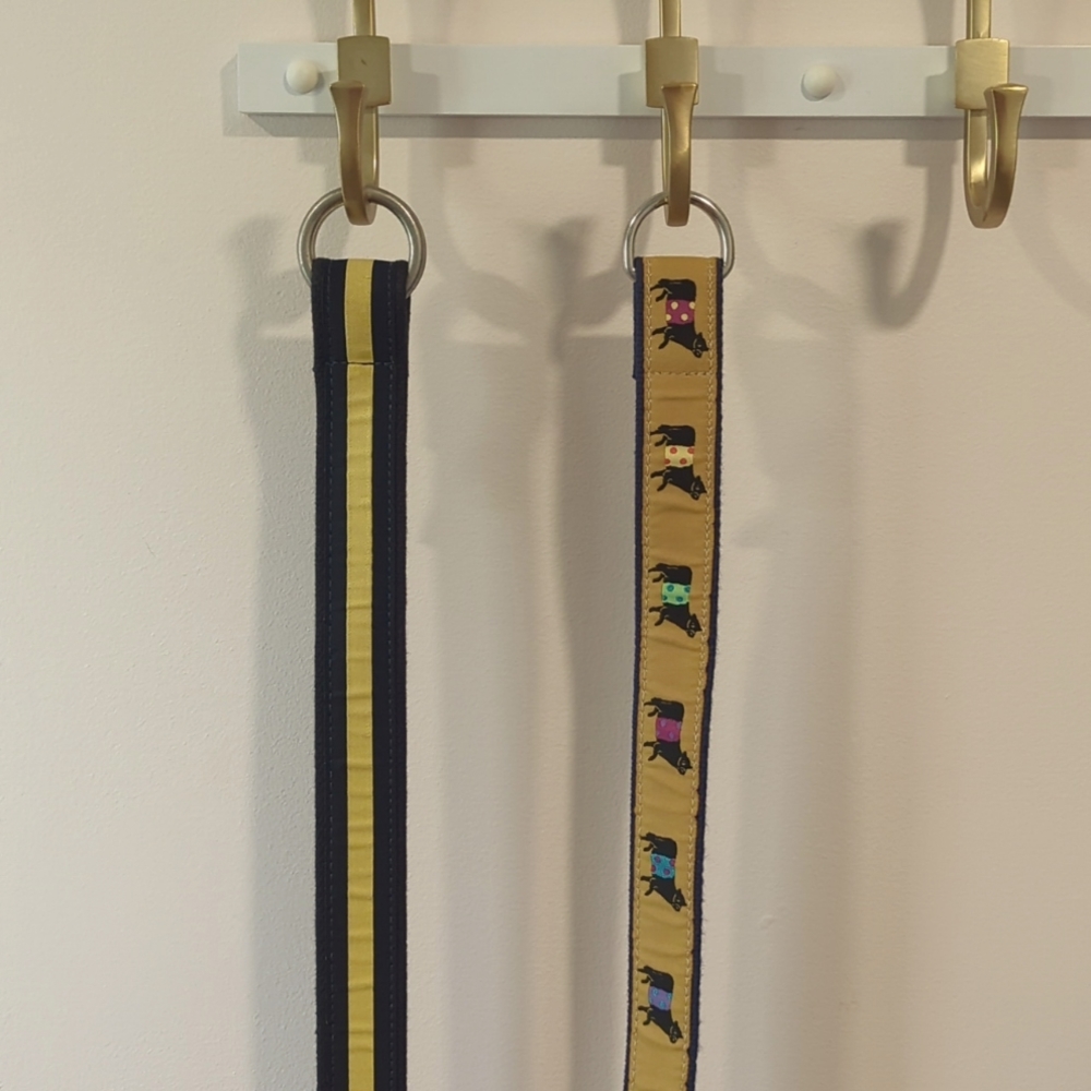 Belted Cow Belts - 2